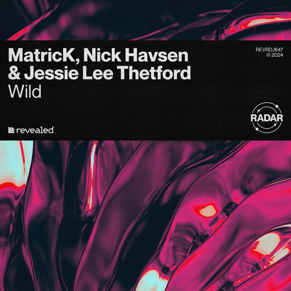 Nick Havsen – Big Room House