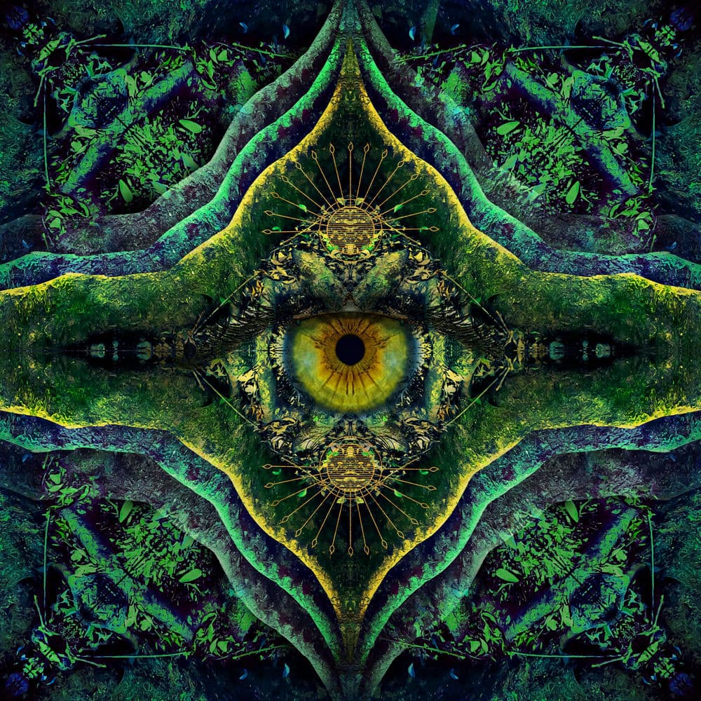 Liquid Bloom – Electro