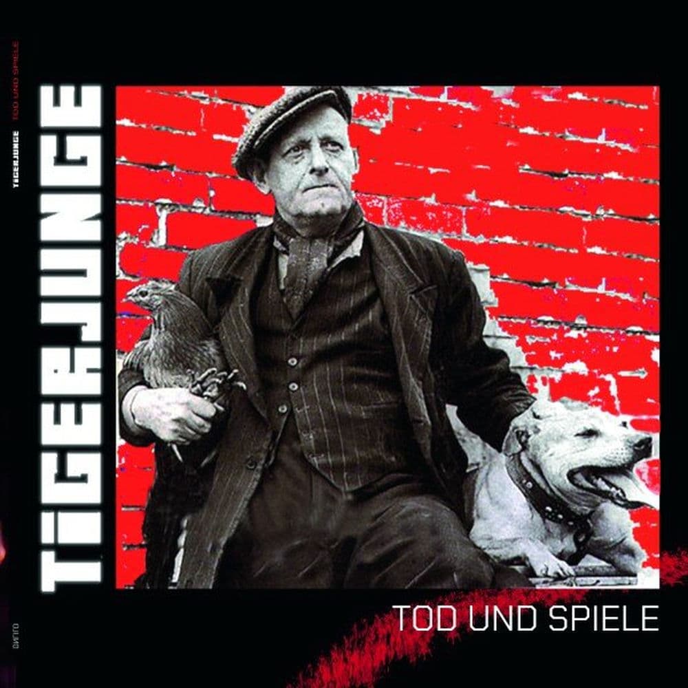 Tigerjunge – Pop