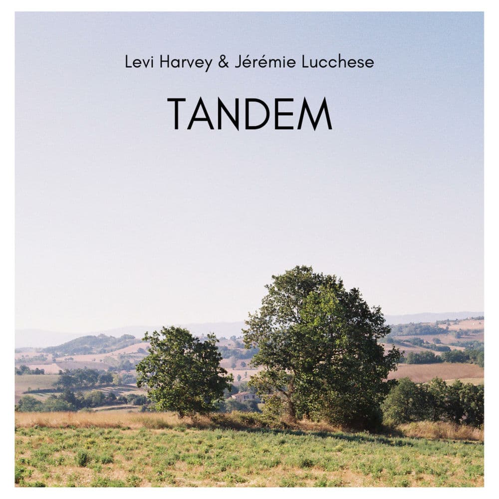 LEVI HARVEY – Jazz
