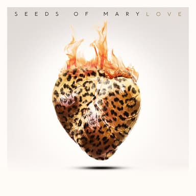 SEEDS OF MARY