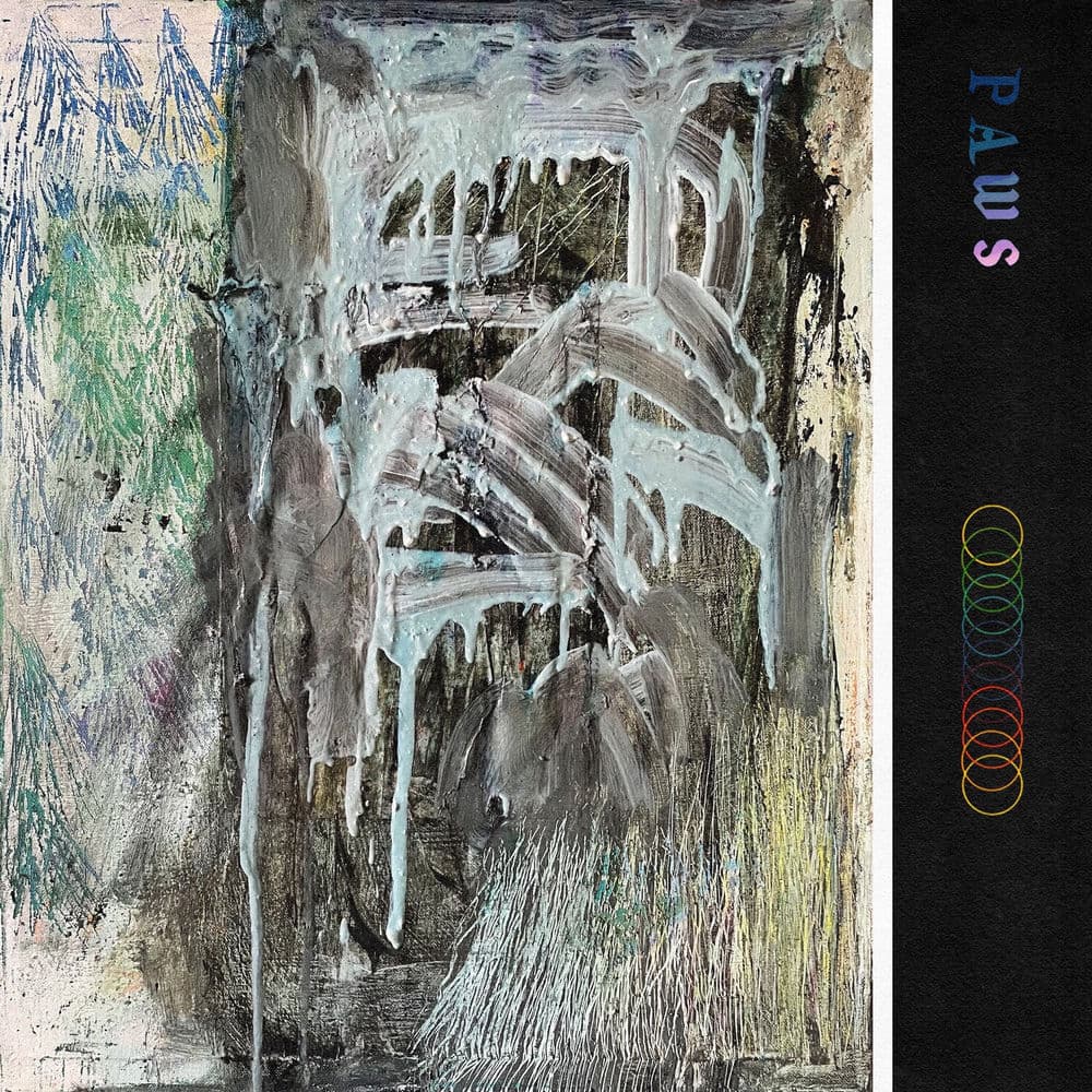 Paws – Rock
