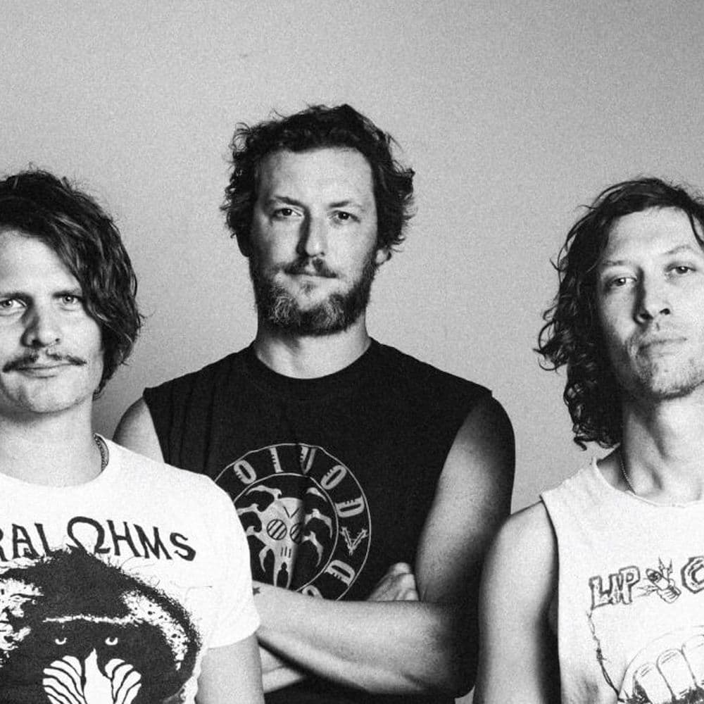 Zig Zags – Acid Rock