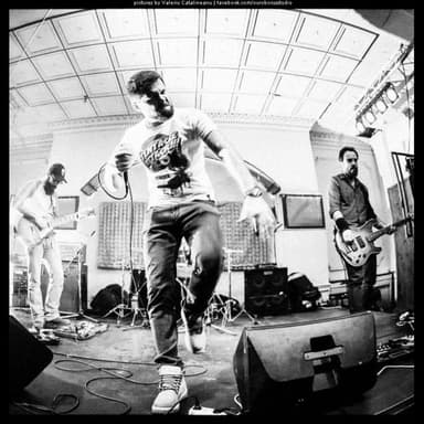 RoadkillSoda