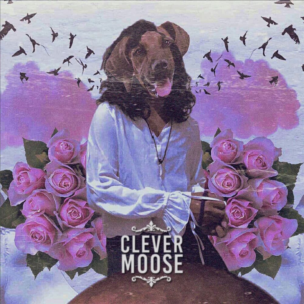 Clever Moose