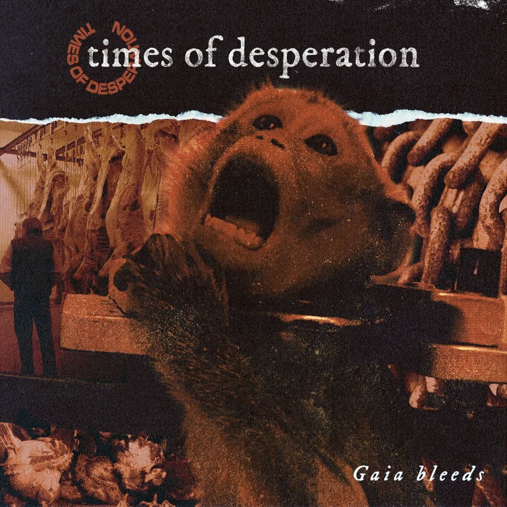Times of Desperation – Rock