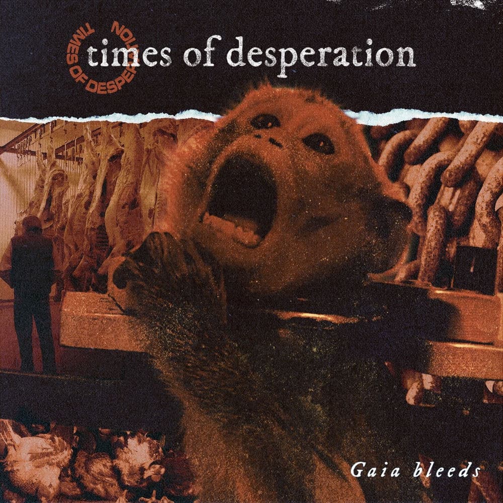 Times of Desperation – Rock
