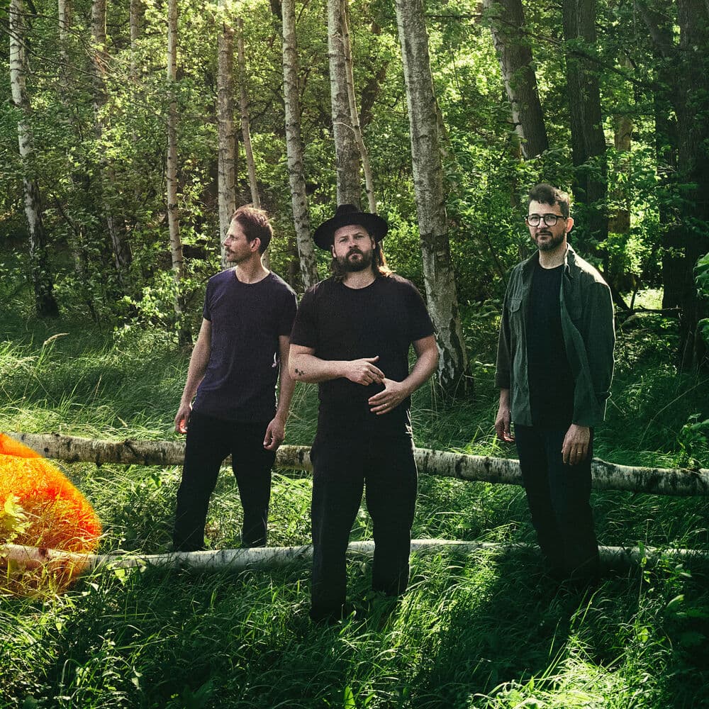 Mighty Oaks – Folk Rock