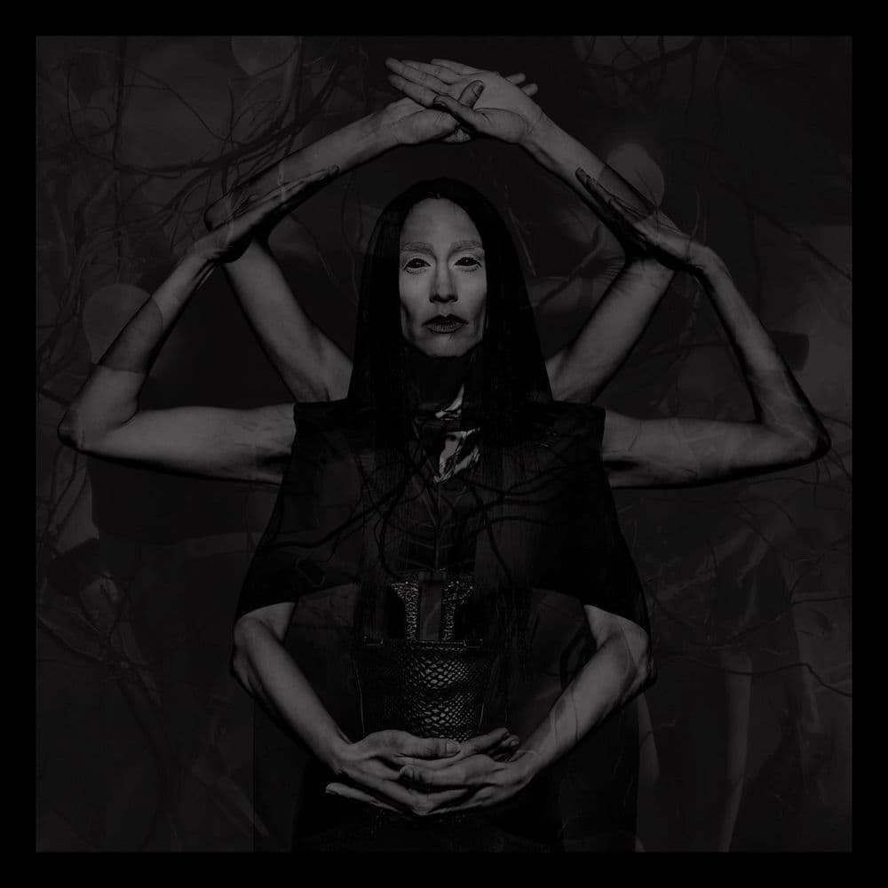 Bestial Mouths – Rock