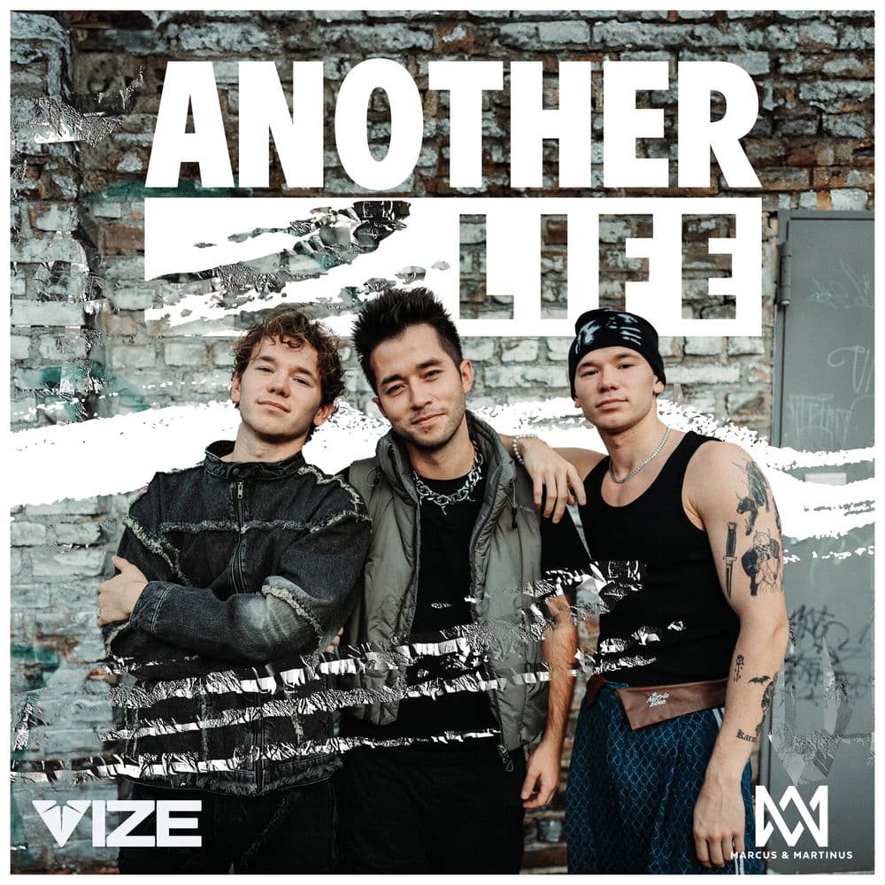 Vize – House