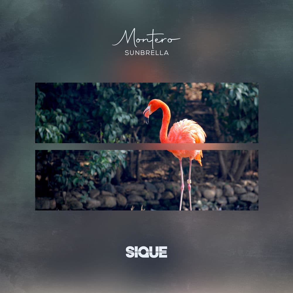 Sunbrella – Electro