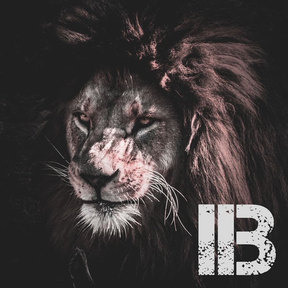 IB