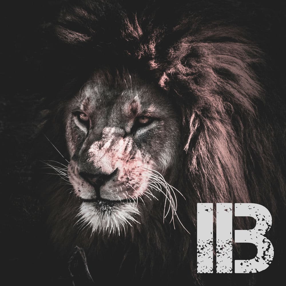 IB