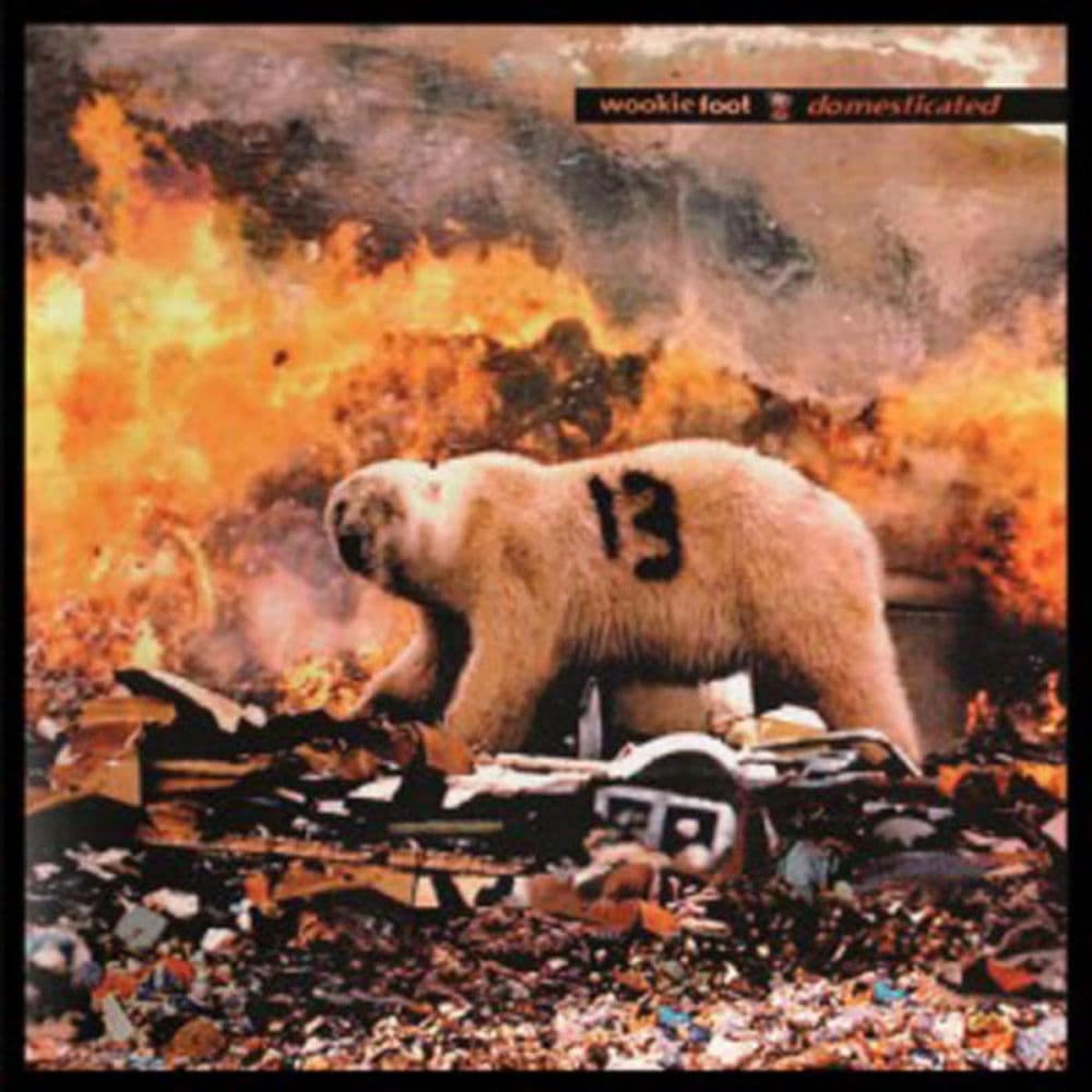 Wookiefoot – Rock