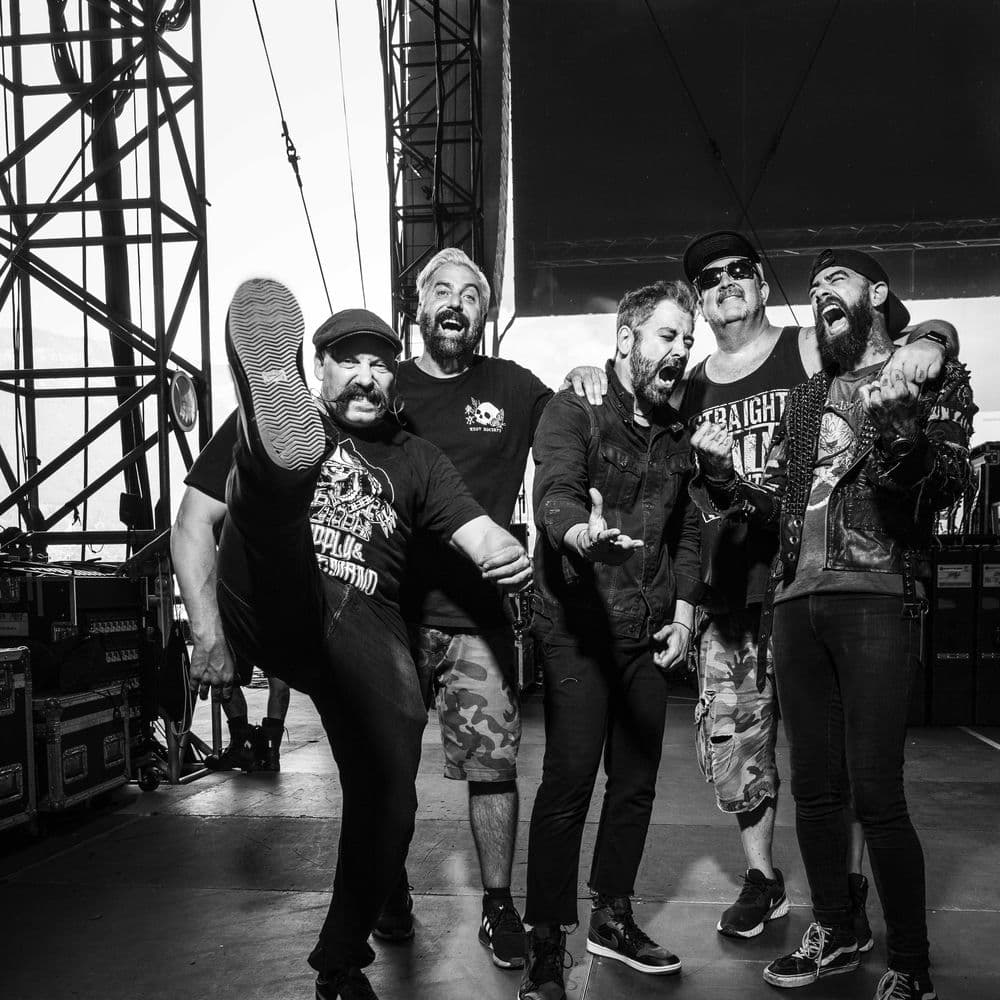 Zebrahead – Alternative Rock