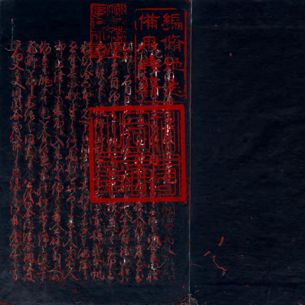 The Fear – Idm
