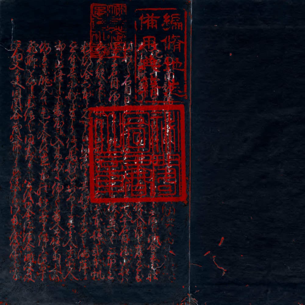 The Fear – Idm