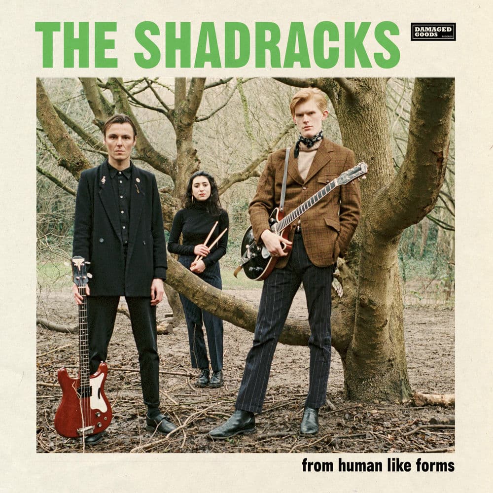 The Shadracks – Proto-Punk