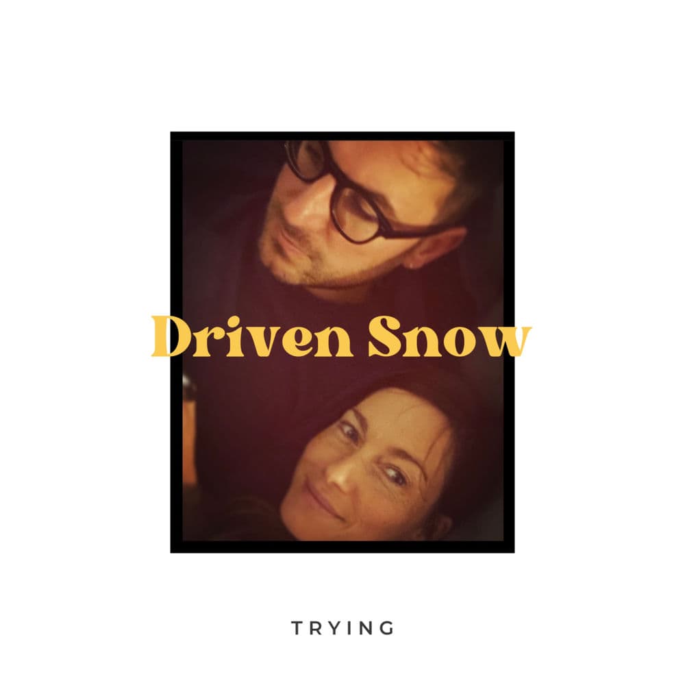 Driven Snow