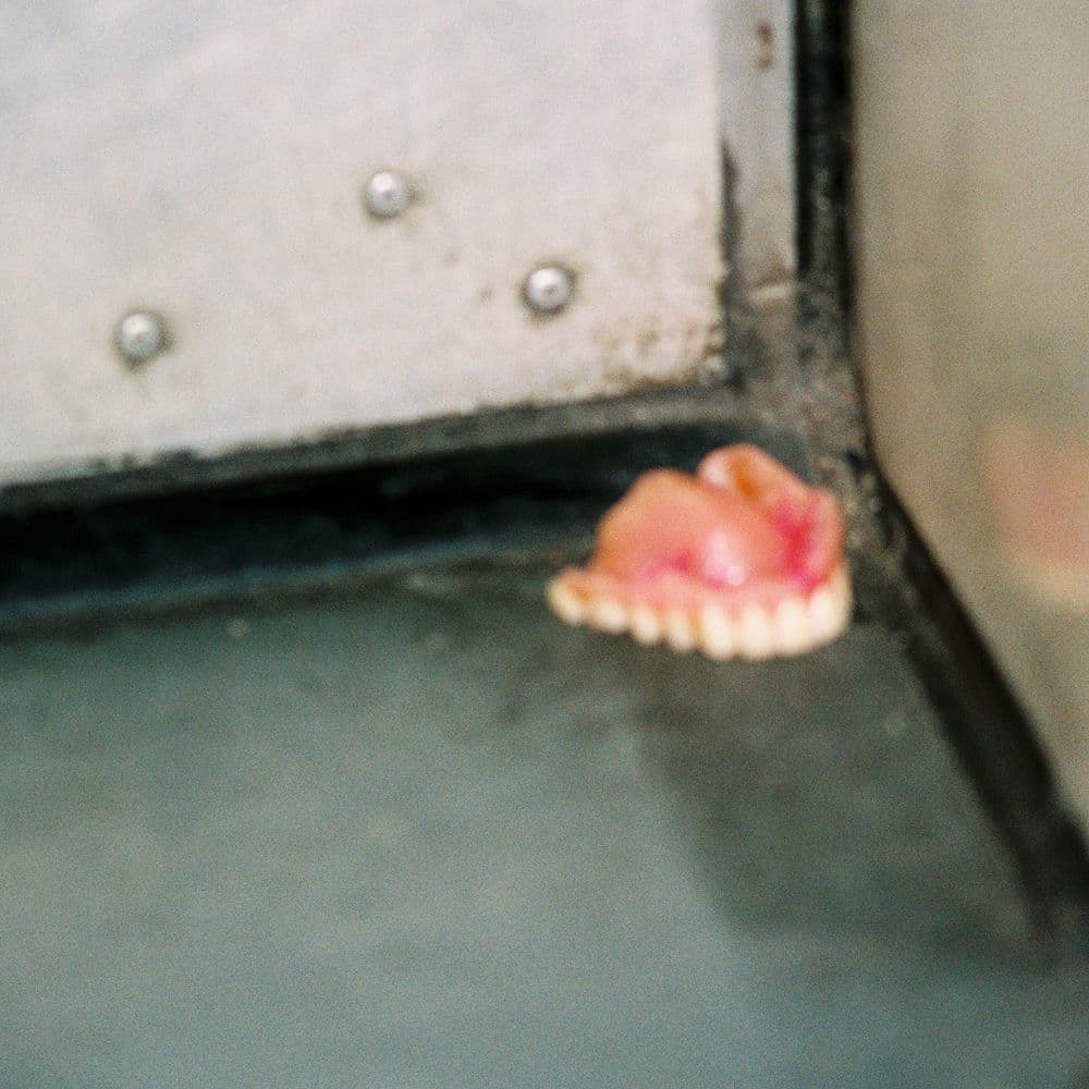 Zoo/Flora – Alternative