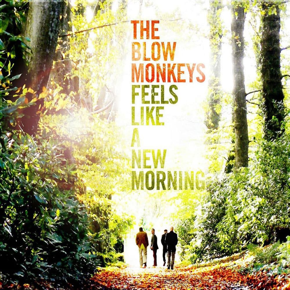 Blow Monkeys – Disco