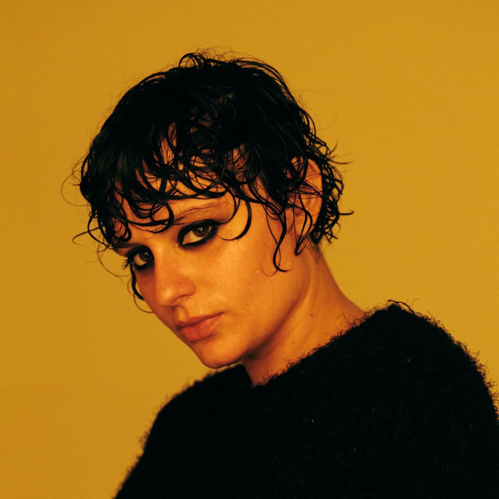 Ana Frango Elétrico – Funk