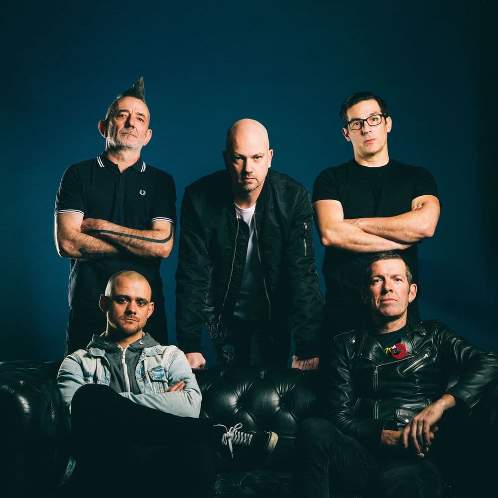 DARCY – Rock