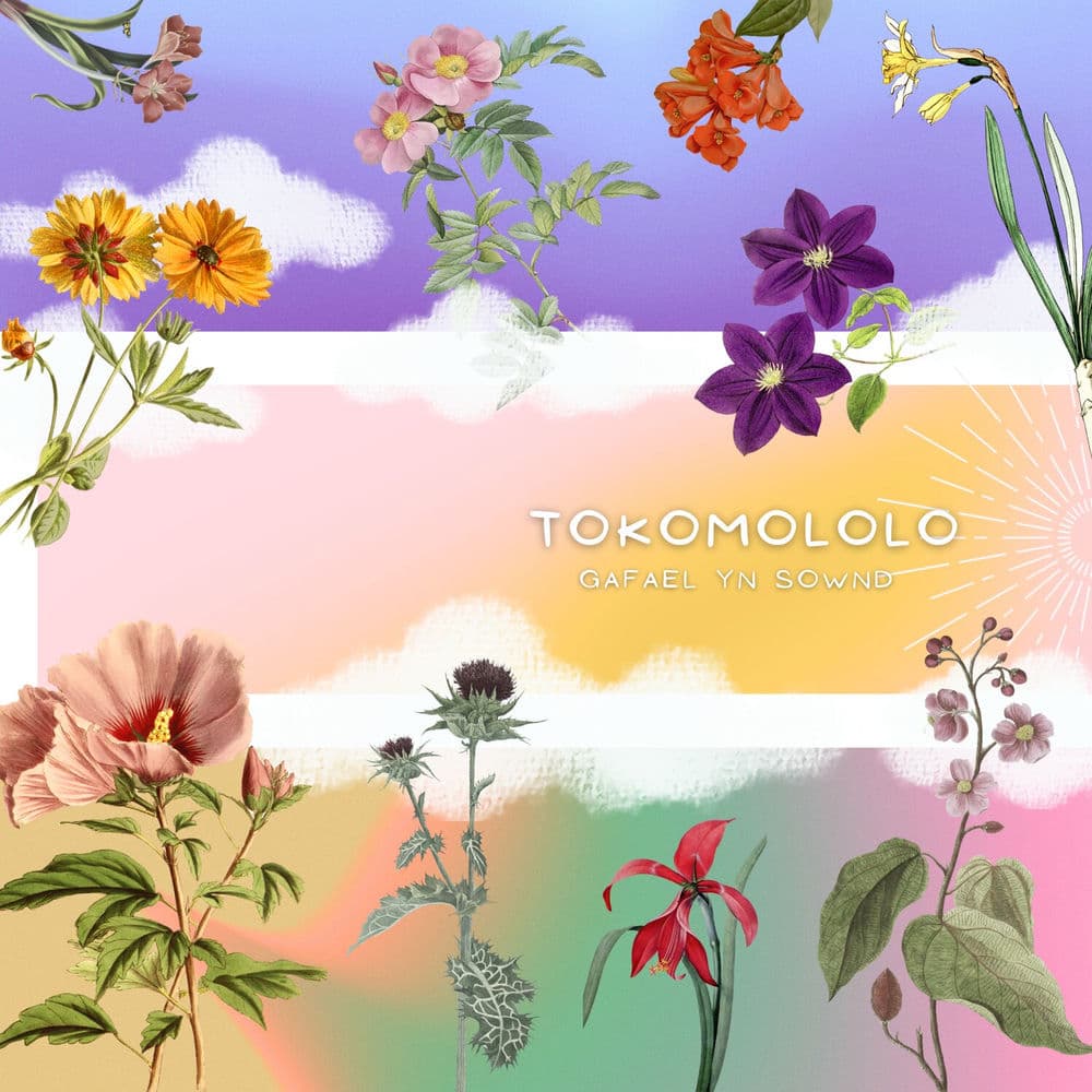 Tokomololo – Electro