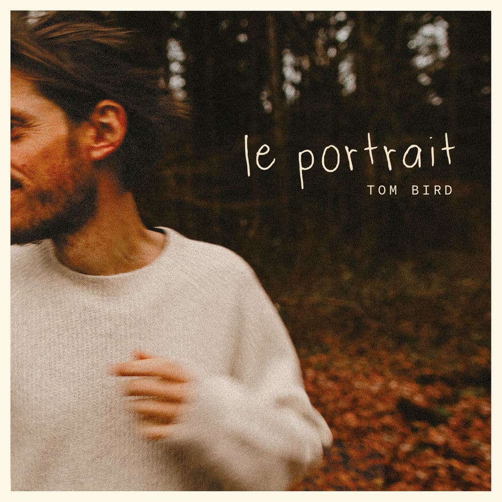 TOM BIRD – Pop