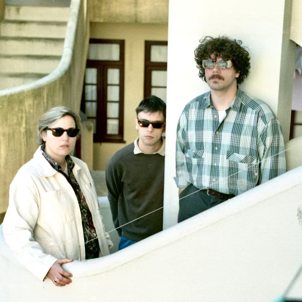 Sunflowers – Garage Punk