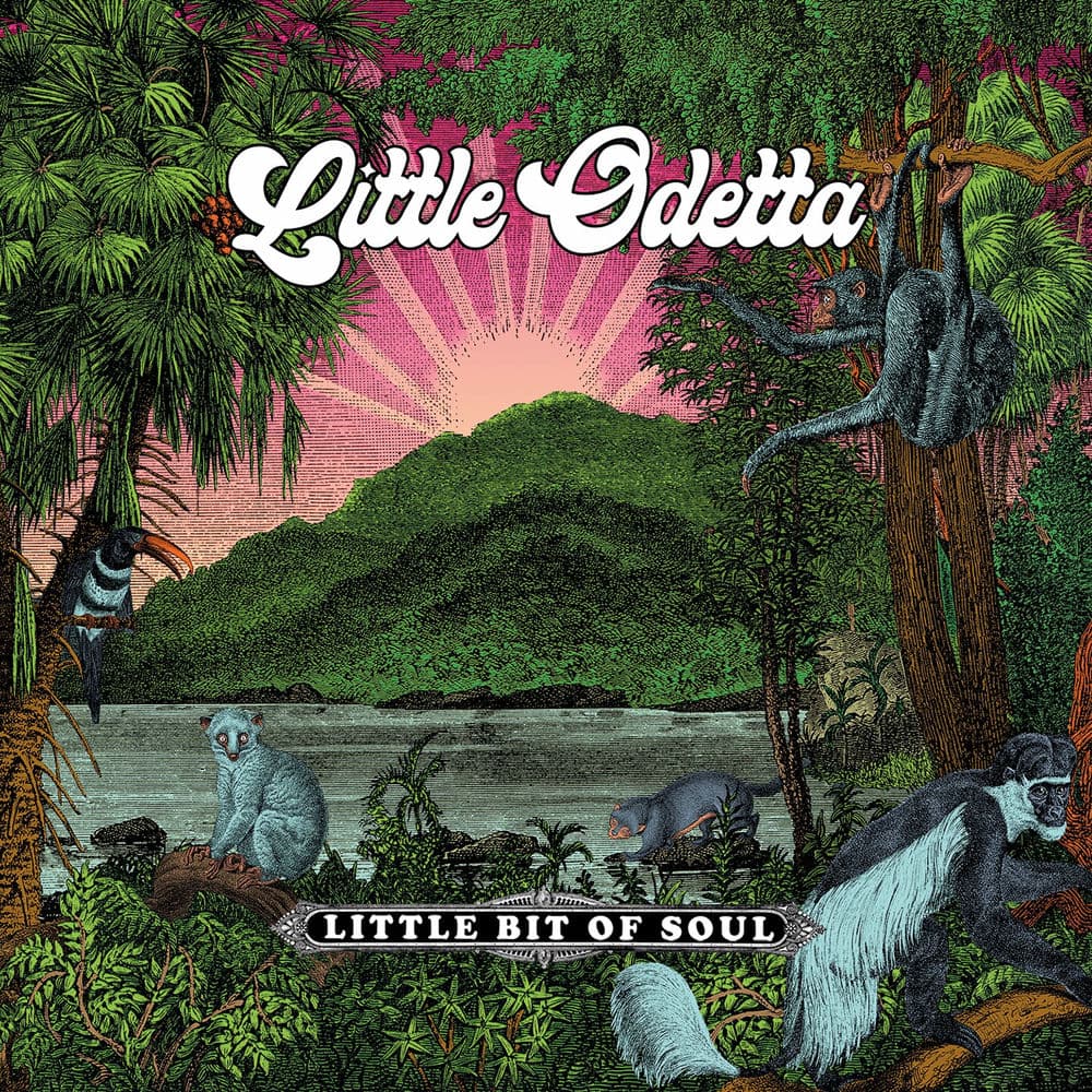 LITTLE ODETTA – Rock