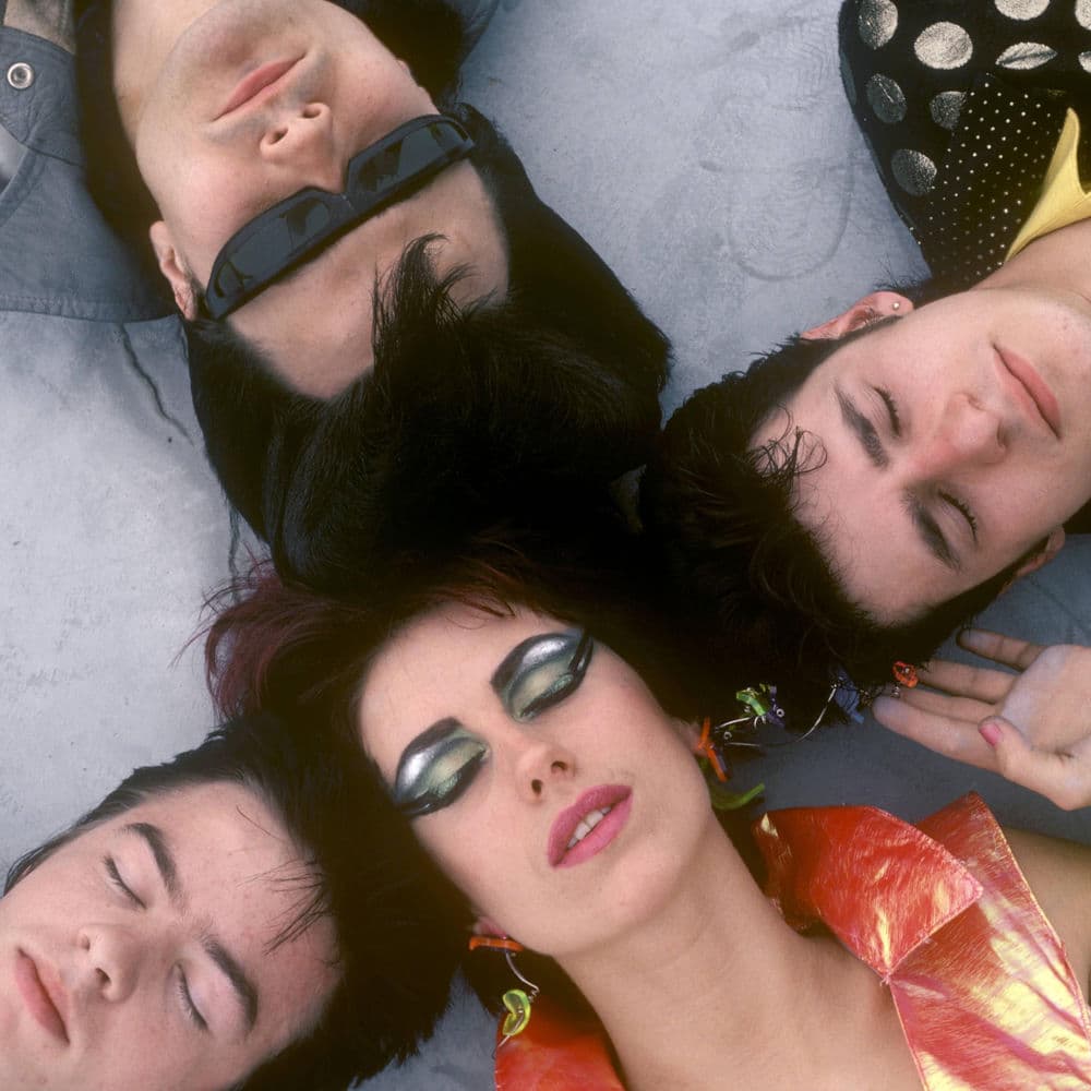 The Rezillos – Punk