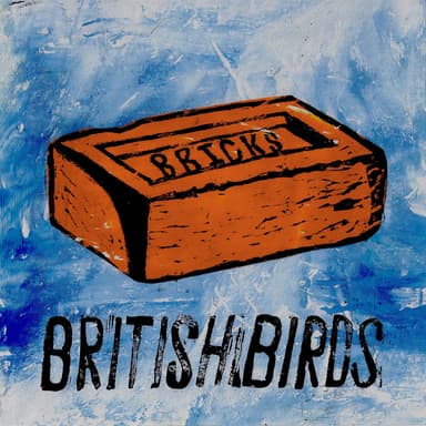 British Birds