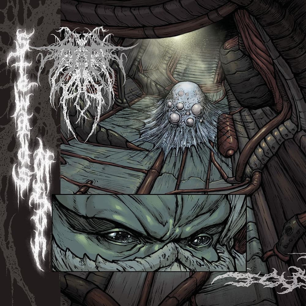 KOLLEKTIV RAUMORDNUNG – Sludge Metal