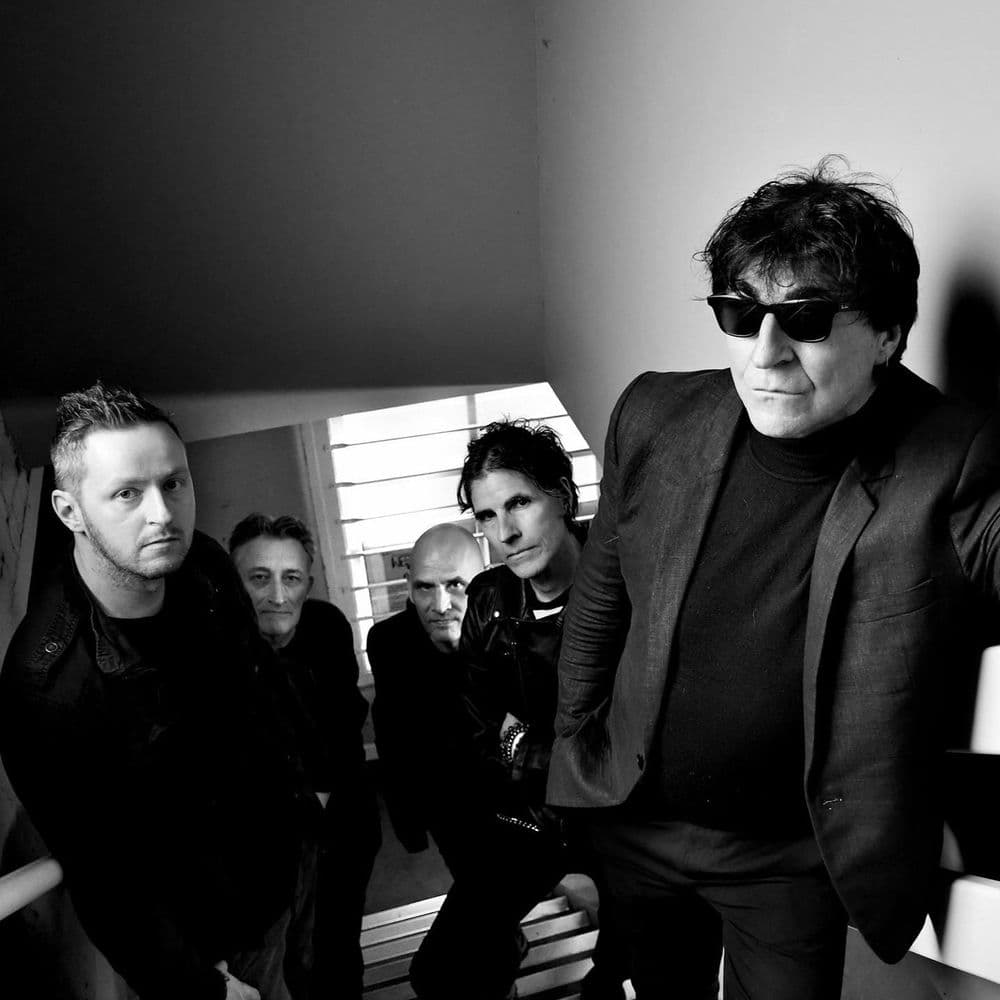 The Chameleons – Rock