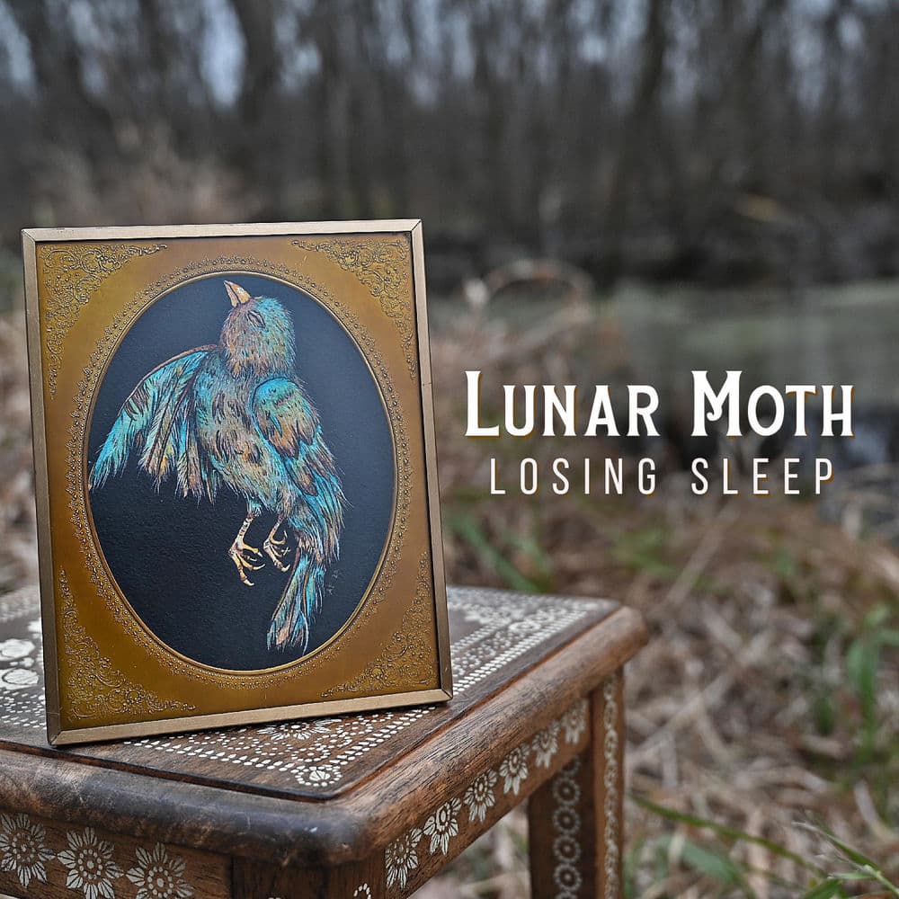 Lunar Moth