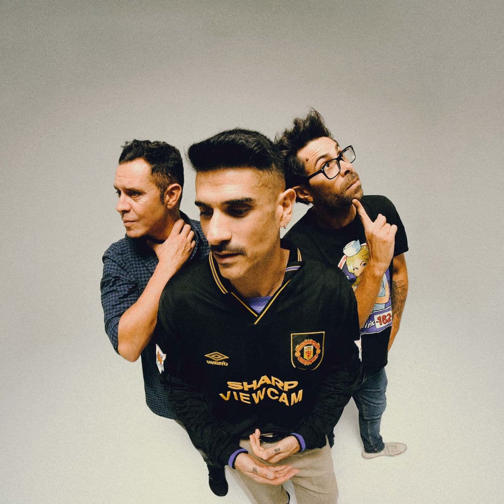 Pignoise – Pop Rock