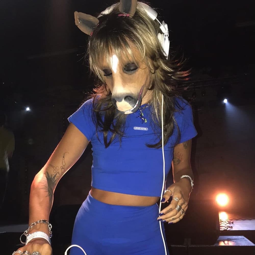 HORSEGIIRL – Hyperpop