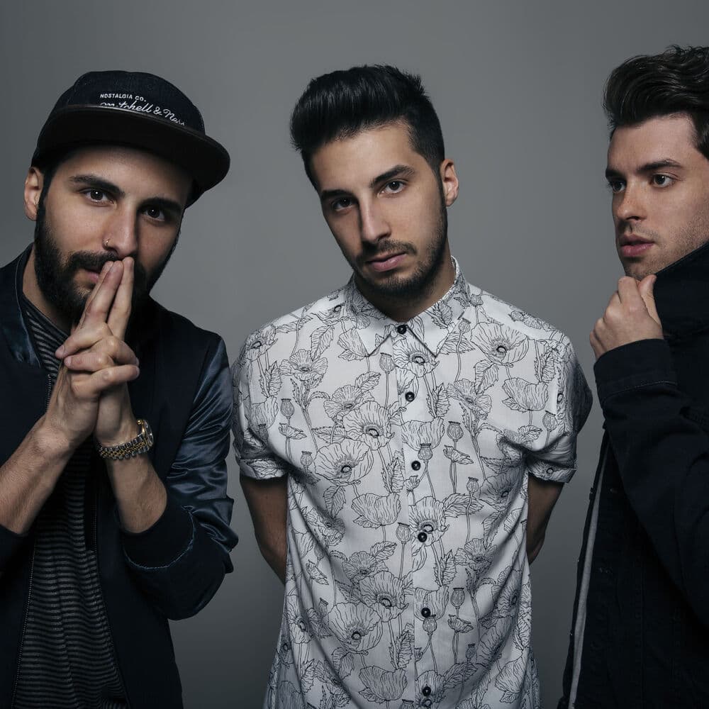 Cash Cows – Dance