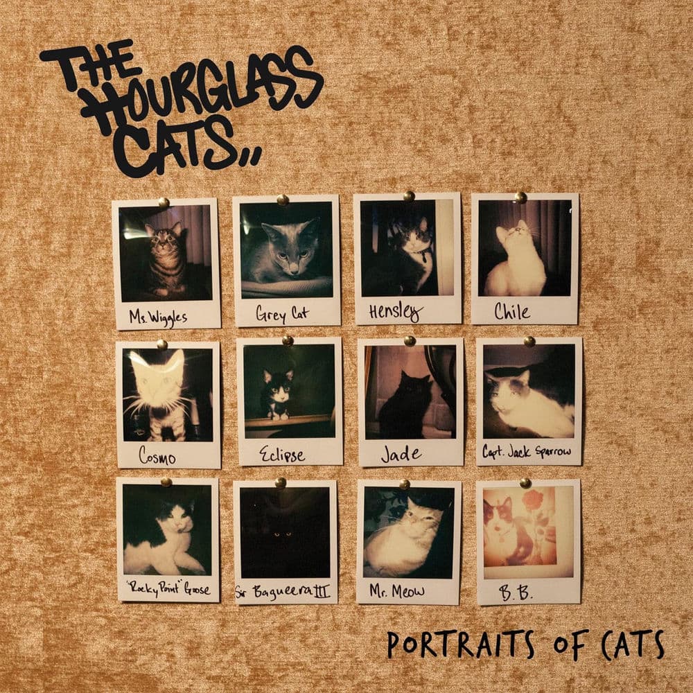The Hourglass Cats