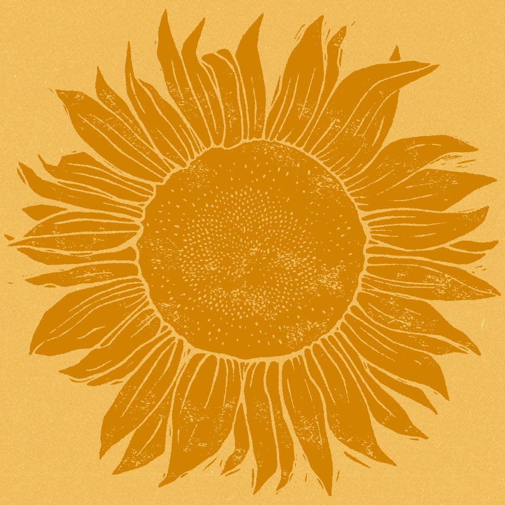 Baque Luar – Alternative
