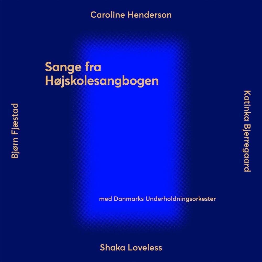 Danmarks Underholdningsorkester – Rock