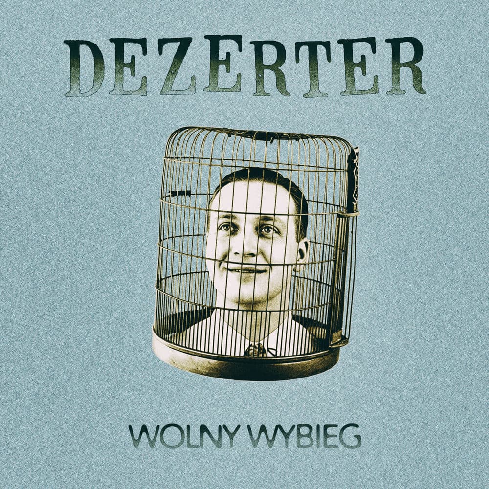 Dezerter – Punk