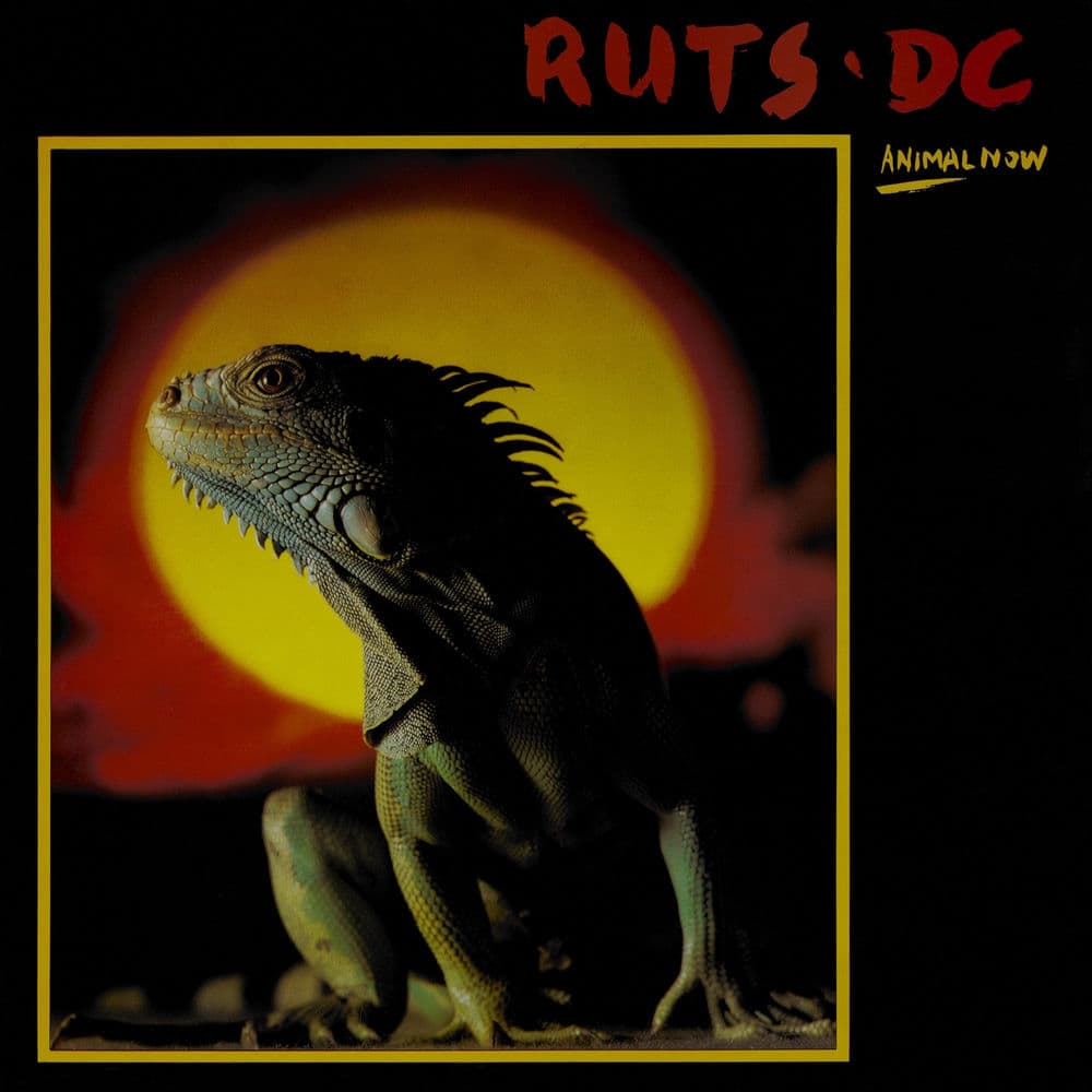 Ruts DC – Pop