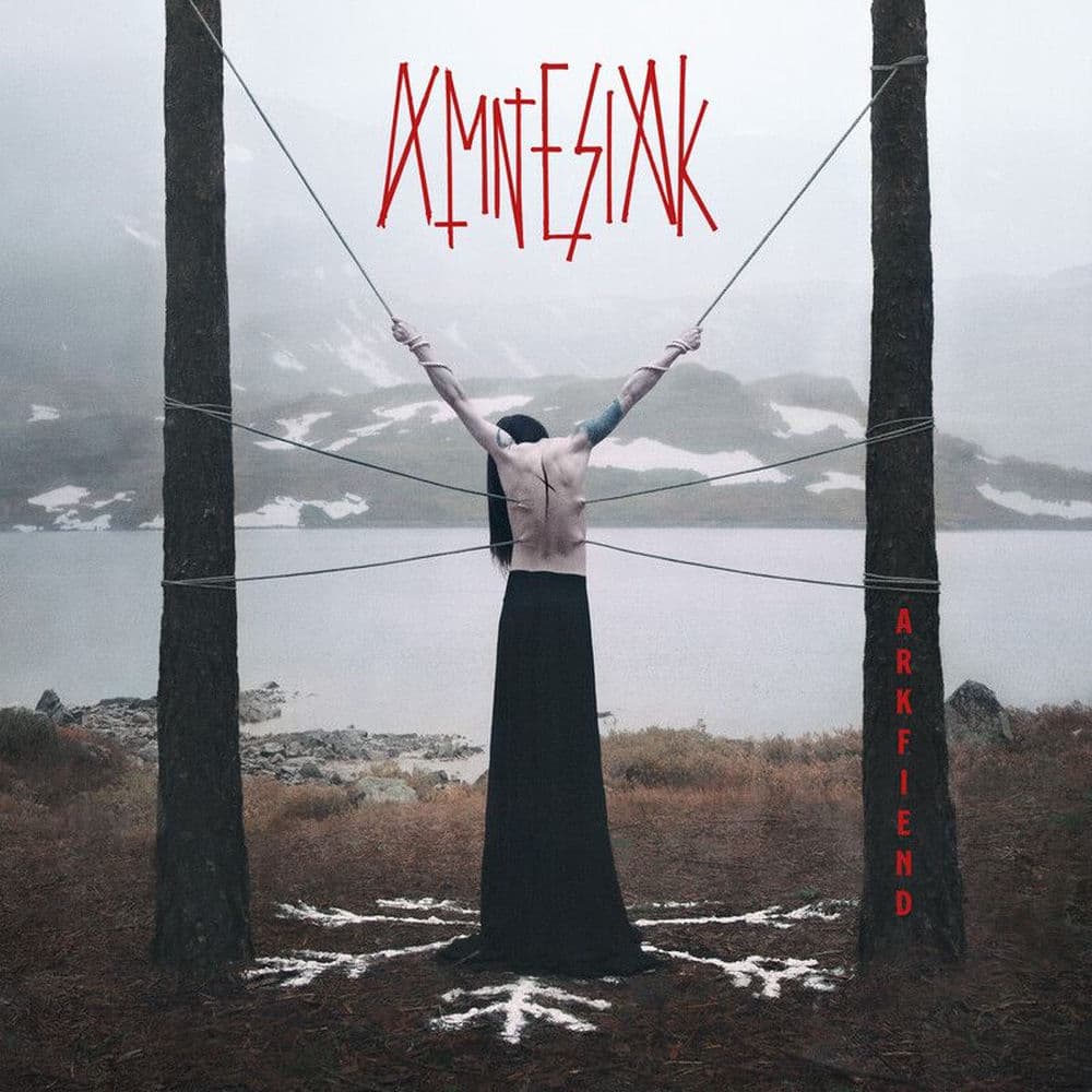 Amnesiak – Rock