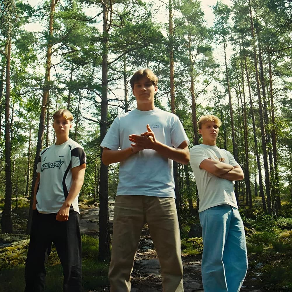 Fjellrev – Pop