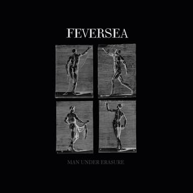 Feversea