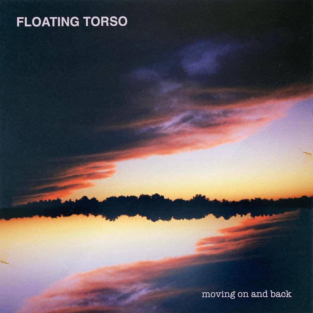 Floating Torso