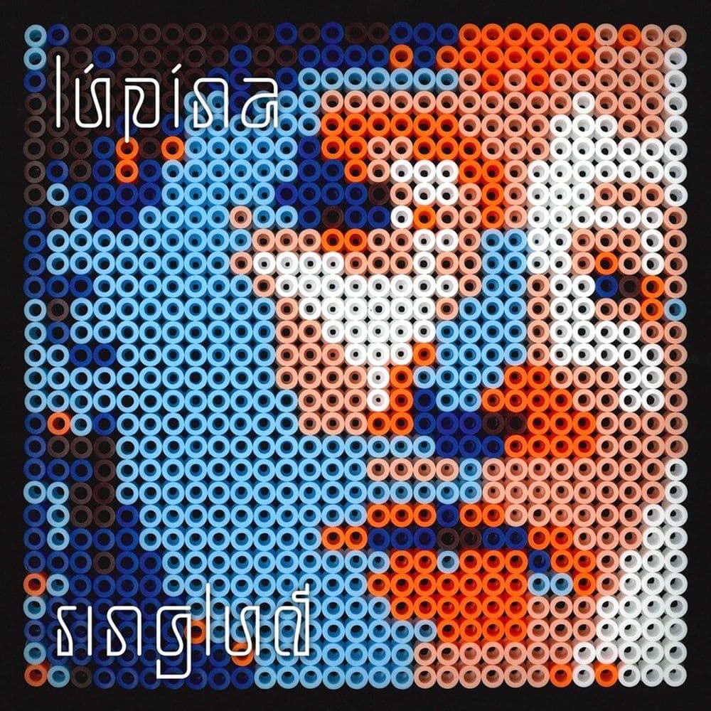 lúpína – Pop
