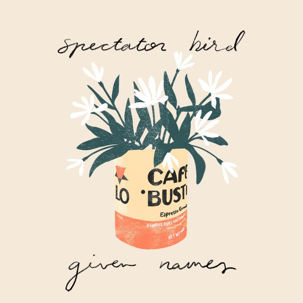 Spectator Bird – Rock